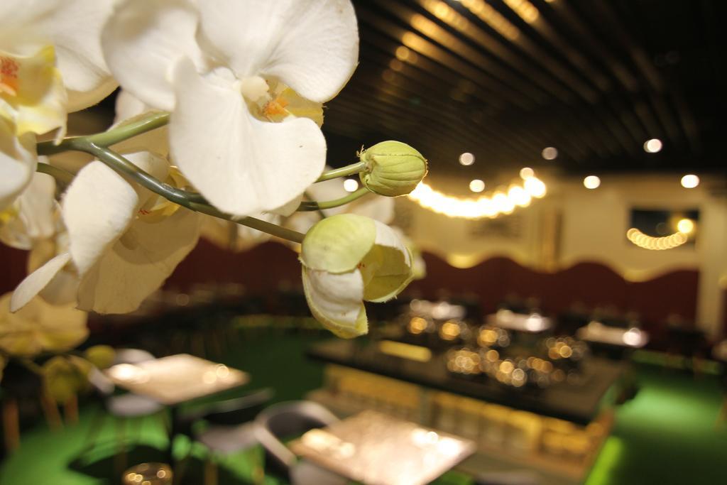 Eloisa Royal Suites Lapu-Lapu City Kültér fotó